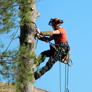 Speciality Insurance | Arborist Insurance