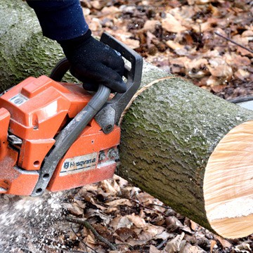 Speciality Insurance | Arborist Insurance